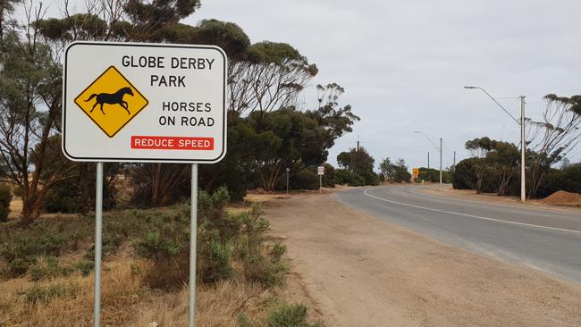 Globe Derby Dve at Globe Derby Park. Picture: Colin James