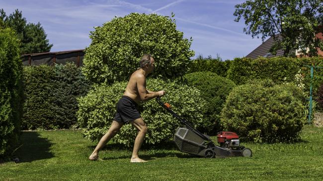 Don’t forget the cost of regular lawn mowing – unless you plan to travel and do it yourself.