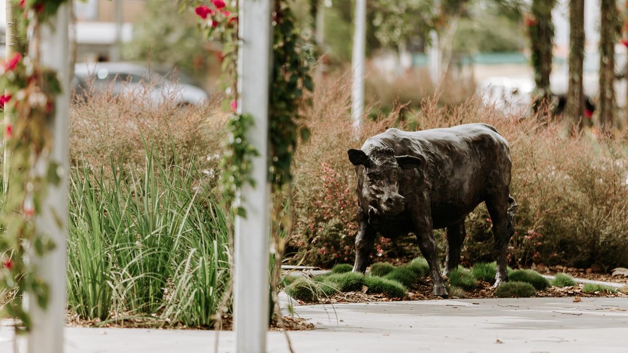 The new Miles CBD streetscape was recognised at the Australian Institute of Landscape Architects Queensland Awards 2023. Picture: WDRC