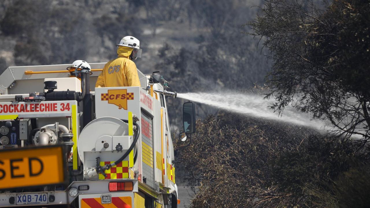 CFS tackle the blaze outside Port Lincoln. Picture: Robert Lang