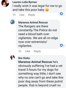 Some of the thousands of comments posted under the photo of the dog on Facebook. Picture: Facebook