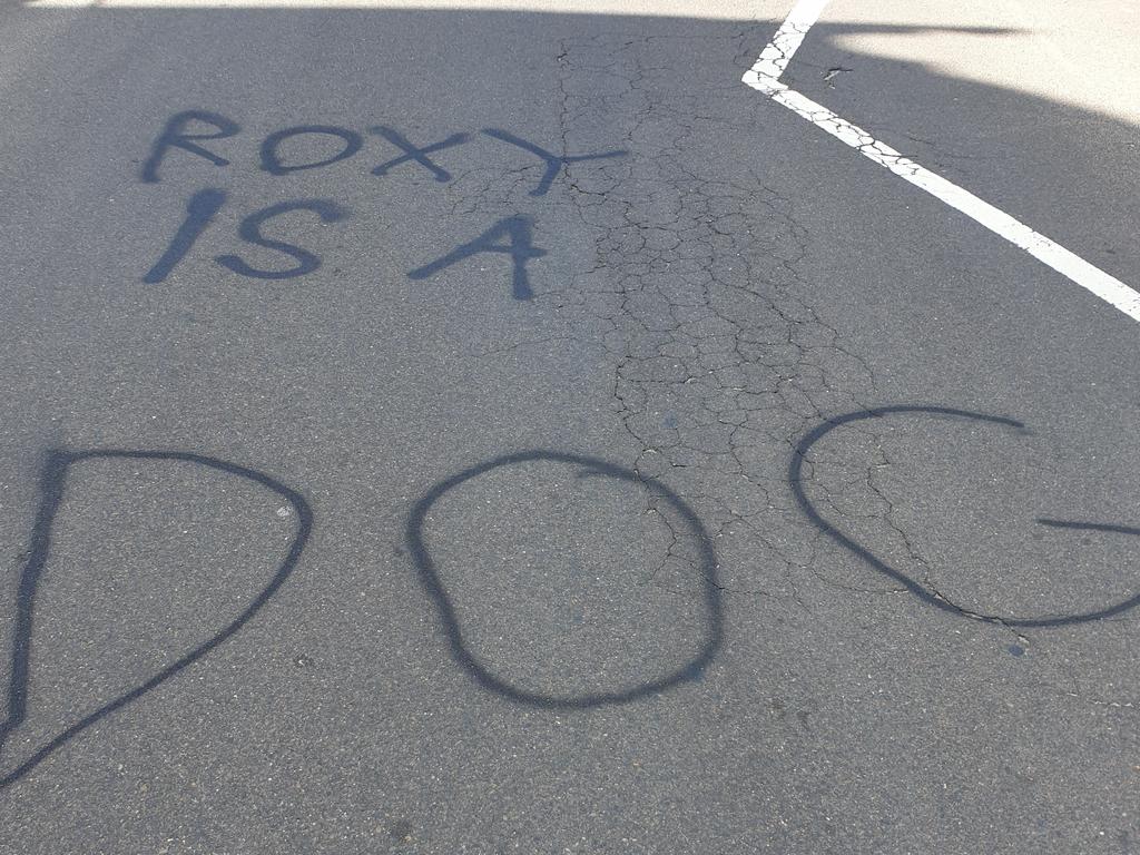 Roxy told news.com.au exclusively she isn’t rattled by these graffiti attacks. Picture: Roxy Jacenko