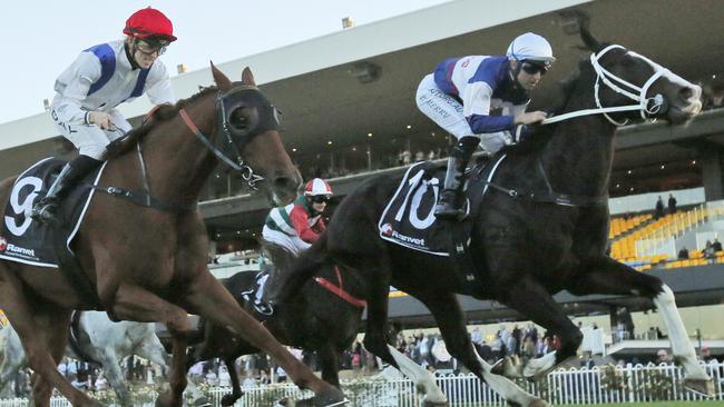 Mubariz looks a good each-way bet at Rosehill Gardens on Saturday