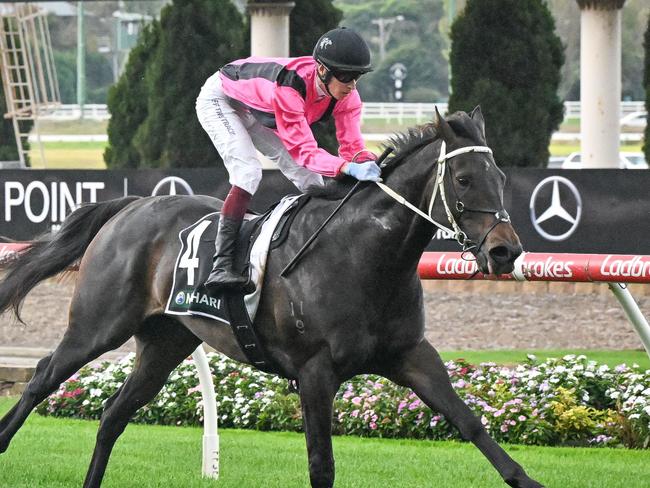 Elouyou ridden by Fred Kersley wins the Manhari Handicap at Moonee Valley Racecourse on April 26, 2025 in Moonee Ponds, Australia. (Photo by Reg Ryan/Racing Photos via Getty Images)