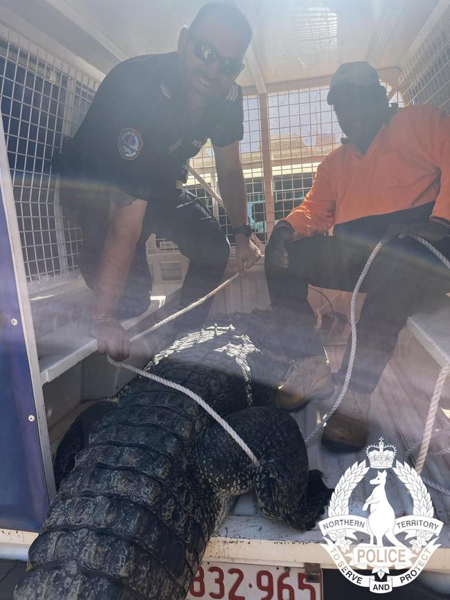 A three and a half metre saltwater crocodile was fished out of Baines River near the remote NT town of Bulla. Picture: NT Police