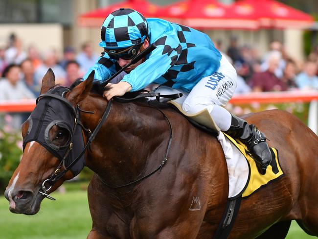 Ben Melham and Bel Sonic combine to take out the Vobis Gold Carat at Moonee Valley. Picture: Getty Images