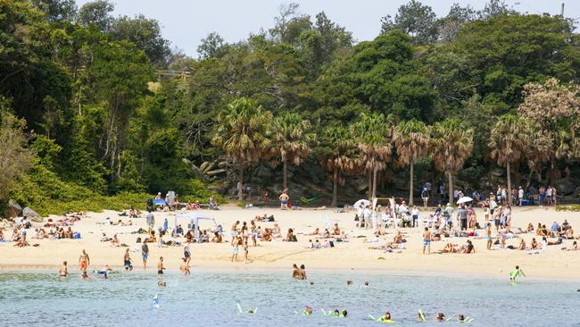 An image of Shelly Beach in Manly.