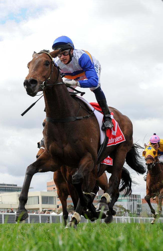 Focus: Nick Hall wins on O'Lonera at Caulfield last month before his untimely suspension. Picture: Getty Images