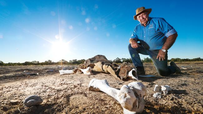 Mayor Geoff Morton, on his property outside Birdsville during dry times, says the latest floods will attract an additional 10,000 tourists to the region. Picture: Nigel Hallett