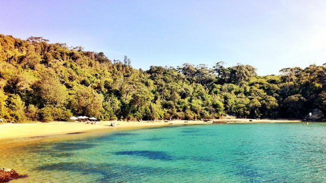 Store Beach is a top proposal place.