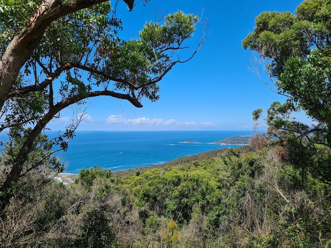 A view of North Durras, adjacent to Pebbly Beach. Picture: NCA Newswire / Nathan Schmidt