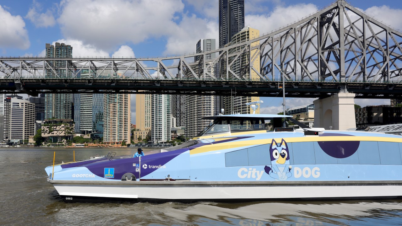 <h2>1. The CityDog</h2><p>The fun begins before you even arrive, with two of the city&rsquo;s famous CityCats converted to &lsquo;CityDogs&rsquo; to complement the attraction. You can board the one painted like Bluey or the one painted like her little sister Bingo from Howard Smith Wharves in the city for the 30-minute ride to the Northshore Hamilton ferry terminal.</p>