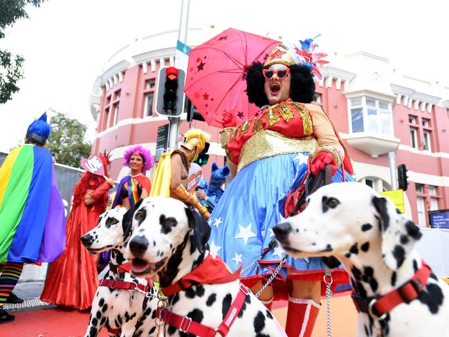 Wonder Mama was powered along by dalmatians, with the Fearless Rainbow Super Queerios in the background. Picture: Tracey Nearmy