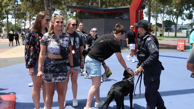 Police and sniffer dogs at Juicy Fest at the Melbourne Showgrounds Picture: Brendan Beckett