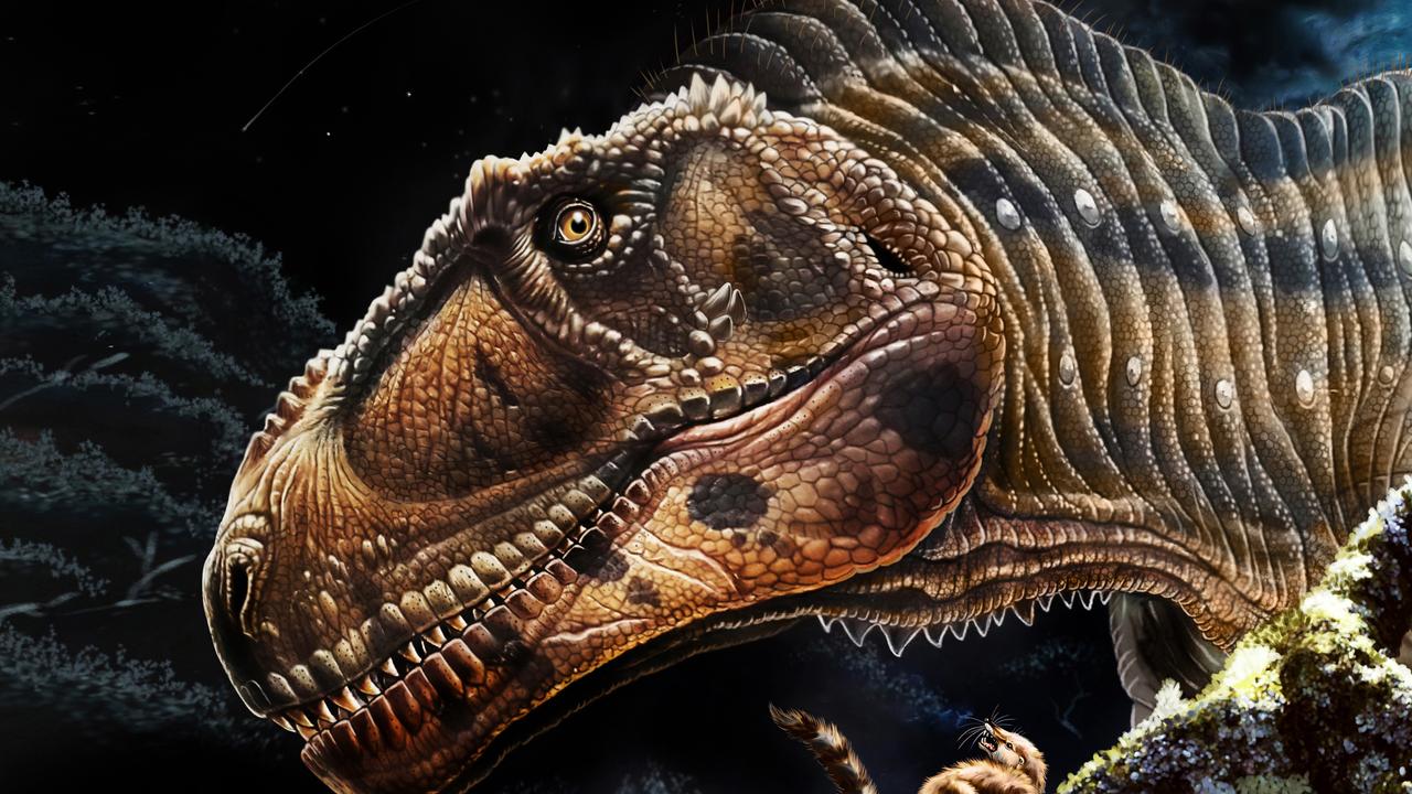 Artist's impression of the Meraxes gigas. Picture: Jorge A Gonzalez