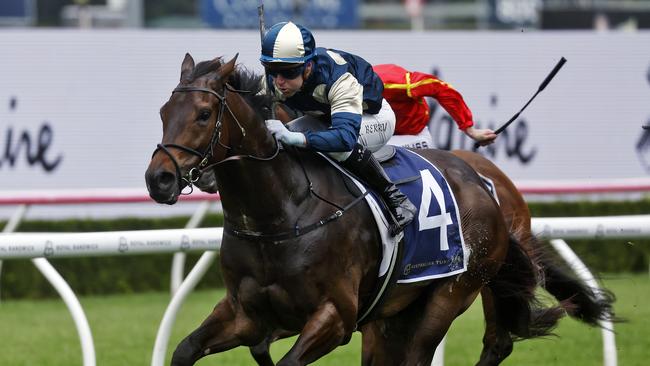 Tommy Berry produced a pearler aboard Gringotts in the Big Dance but copped a fine for his troubles. Picture: Sam Ruttyn