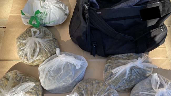 Nine arrested after cannabis ring disrupted in Adelaide's north. Picture: SAPOL