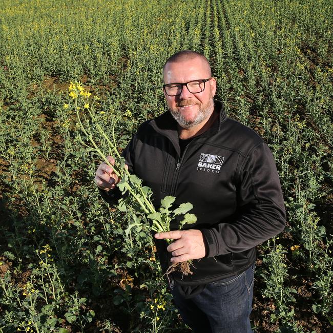 Ashley Fraser of Baker Seeds at Rutherglen. Picture: Yuri Kouzmin