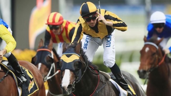 Trapeze Artist will avoid Winx and the Apollo Stakes. (Photo by Mark Evans/Getty Images)