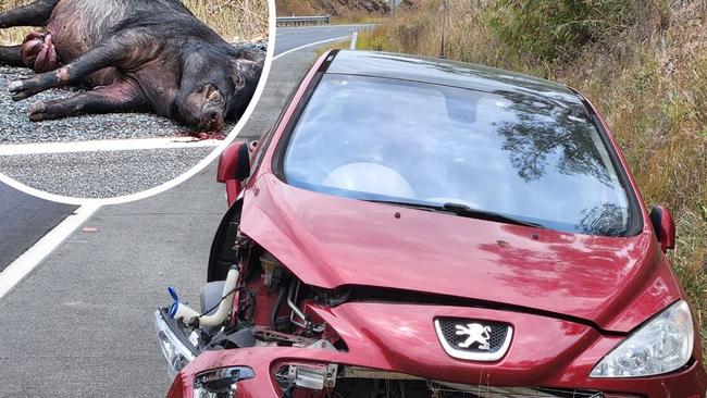 A Peugeot 308 was written off after hitting a large wild boar on Yeppoon to Rockhampton Road about 10pm, on November 23, 2022. Photos: Darryn Nufer.