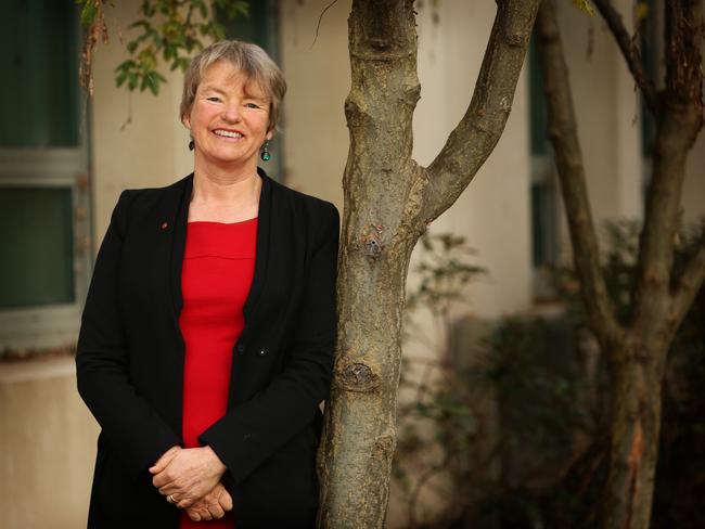 The Greens Victorian Senator-Elect,  Janet Rice at Parliament House in Canberra.