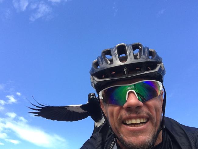 A magpie caught swooping on Clint Burfitt in Aldinga. Picture: Supplied.