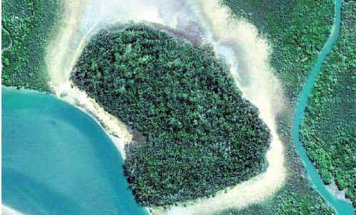 Suna Island in the Great Sandy Strait will be auctioned by Ray White Hervey Bay on Saturday morning. Picture: Google Earth