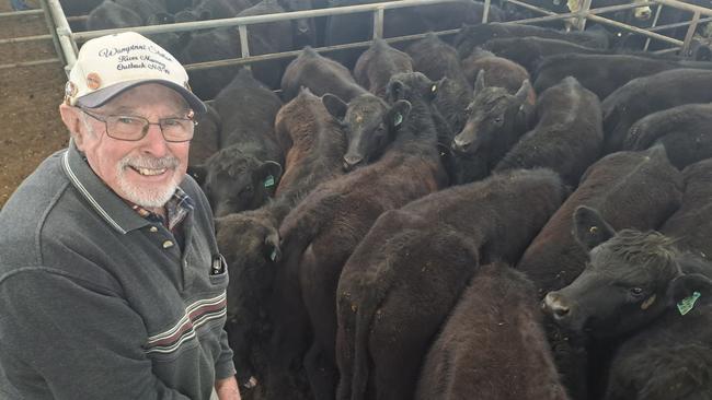 Kevin Ryan, Darraweit Guim, sold 31 Angus yearlings weighing 317kg for $1480 or 466c/kg liveweight at the Yea cattle sale – a result he rated as "exceptional'' as the market picked up despite ongoing concerns about the season.