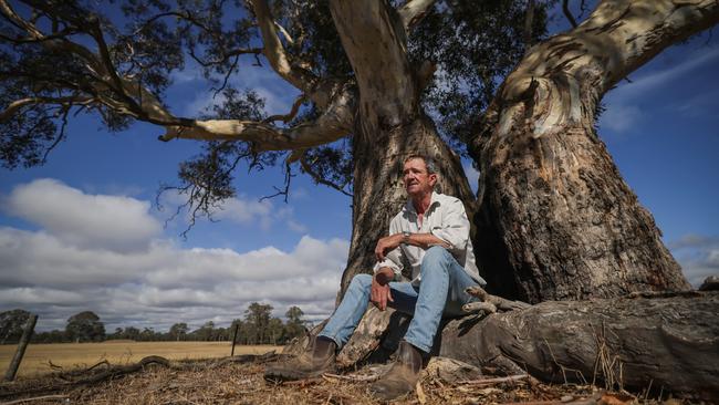 Paddy Fenton said the industrialisation of grazing country in western Victoria was “a disgrace”. Picture: Nicole Cleary