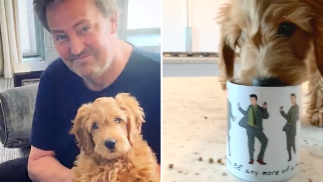 Matthew Perry often posted photos of his dog Alfred. Photo: Instagram