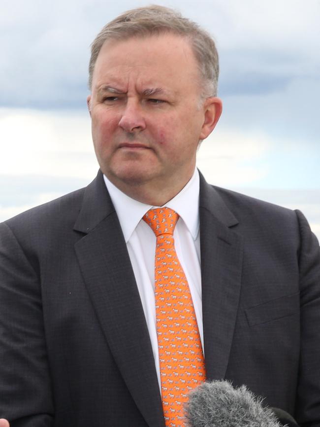 Support... Shadow infrastructure minister Anthony Albanese