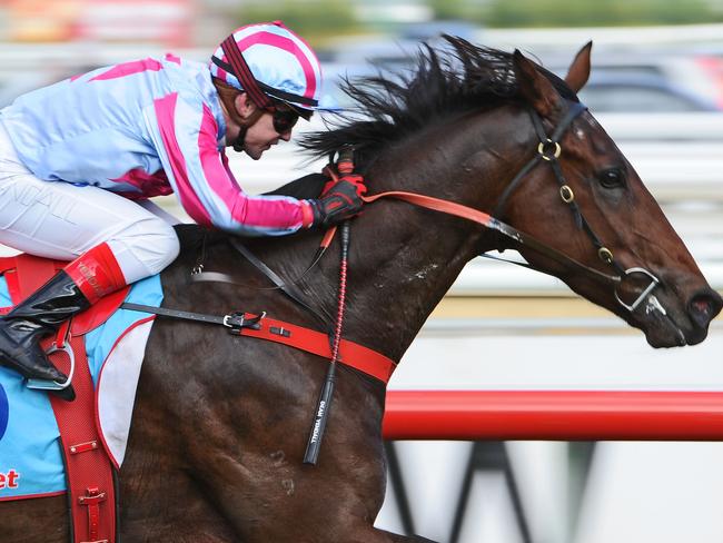 MELBOURNE, AUSTRALIA - MAY 25: Dean Yendall riding Akavoroun wins the Jimjoca Handicap during Melbourne Racing at Caulfield Racecourse on May 25, 2013 in Melbourne, Australia. (Photo by Vince Caligiuri/Getty Images)