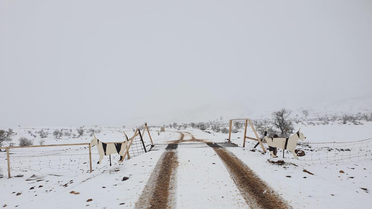 Snow in South Australia Flinders Ranges winter wonderland The Advertiser
