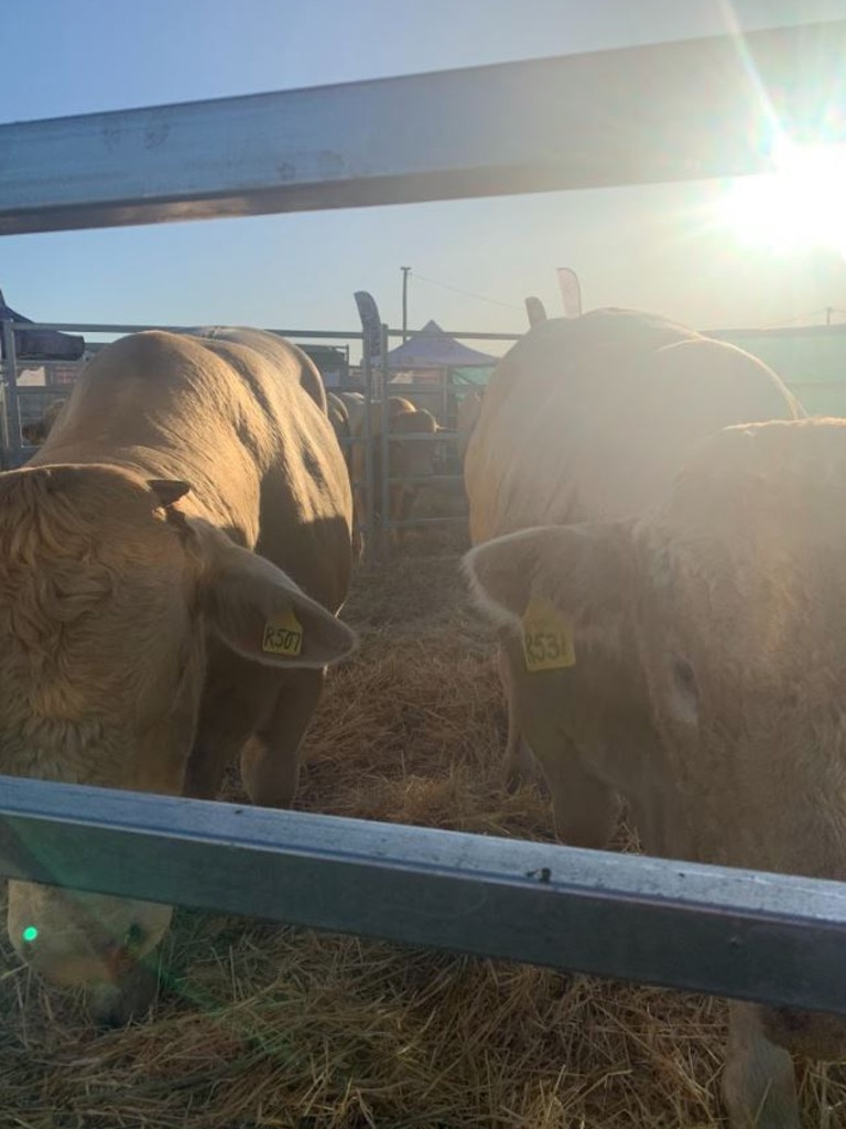 Photos from Ag Grow in Emerald 2022 The Chronicle