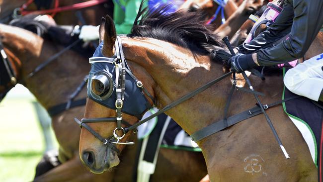 Track rider Mathew Penney submitted that the ‘high range’ reading was consistent with his having ingested the drug the Friday prior to testing positive on Monday.