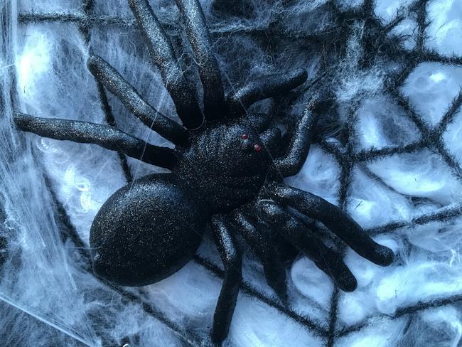 The room of spiders will make your flesh crawl. Picture: Cathy Stubbs.