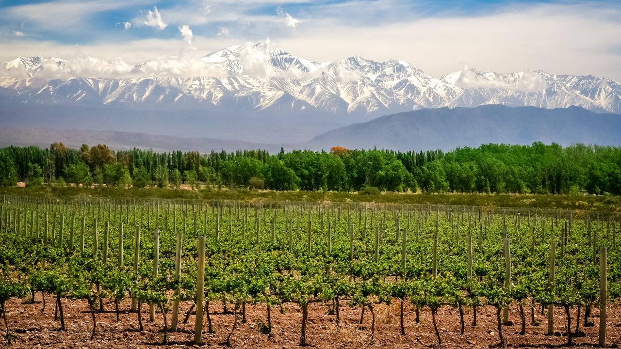argentina wine tour: mendoza's maipu region | review | escape.au