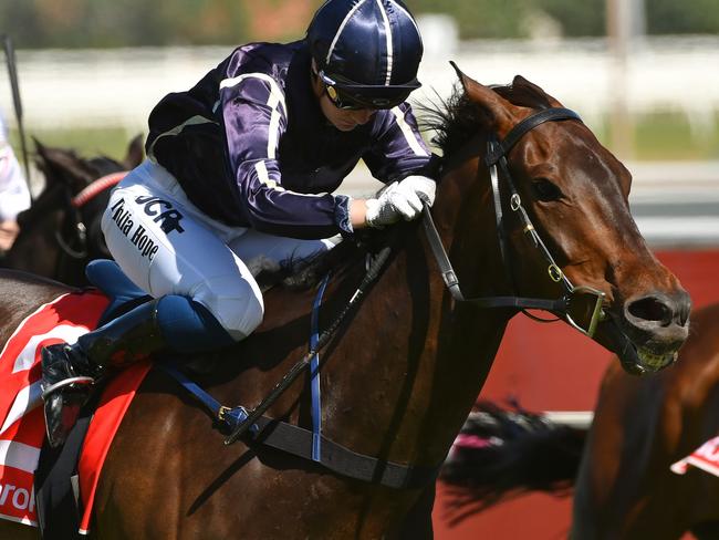 Tahlia Hope rides Lamborghini to victory at Caulfield last January.