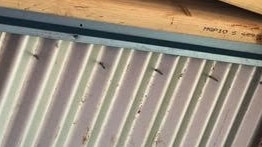 Photos of Sutton Projects/Renovare Toowoomba incomplete work at Christine Burke's home, including misplaced roofing nails.