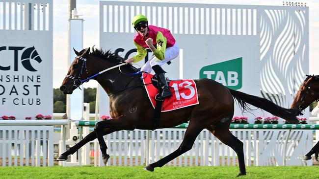 Sheila Laxon is aiming to win the Melbourne Cup again with Knight's Choice. Picture: Grant Peters/Trackside Photography