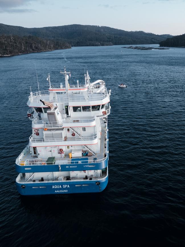 The small boats block the Tassal’s ship path to the pens.