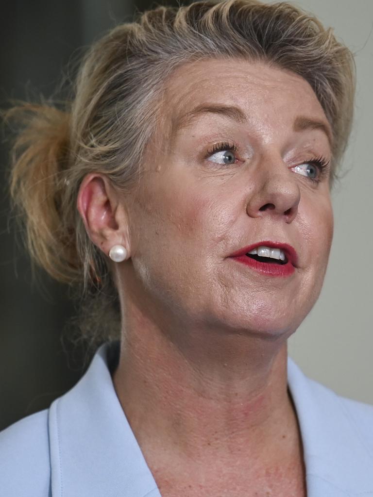 Senator Bridget McKenzie said the weaker return in iron tax receipts would require the government to reduce its spending. Picture: NewsWire/ Martin Ollman