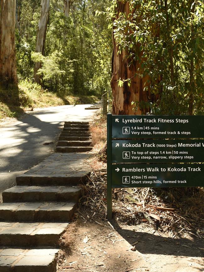 The 1000 Steps trail in the Dandenong Ranges.