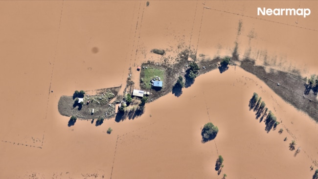 Cattle were said to be stranded without food for several days. Pictured: Ghinni Ghinni. Picture: Nearmap