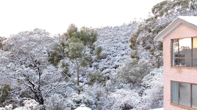 Hobart Snow. Snow covers houses in Sandy Bay. Image by - Sheryl Woulleman-King
