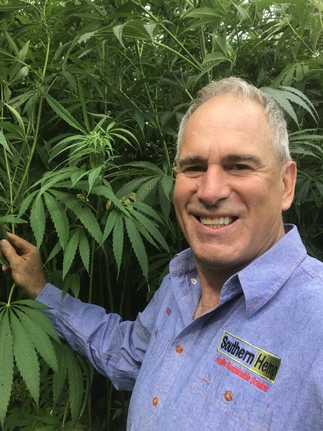 Southern Hemp's David Brian with an industrial hemp crop.