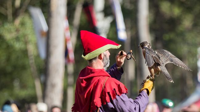 Animals will be the focus of this year’s Abbey Medieval Festival. Photo: Dominika Lis.