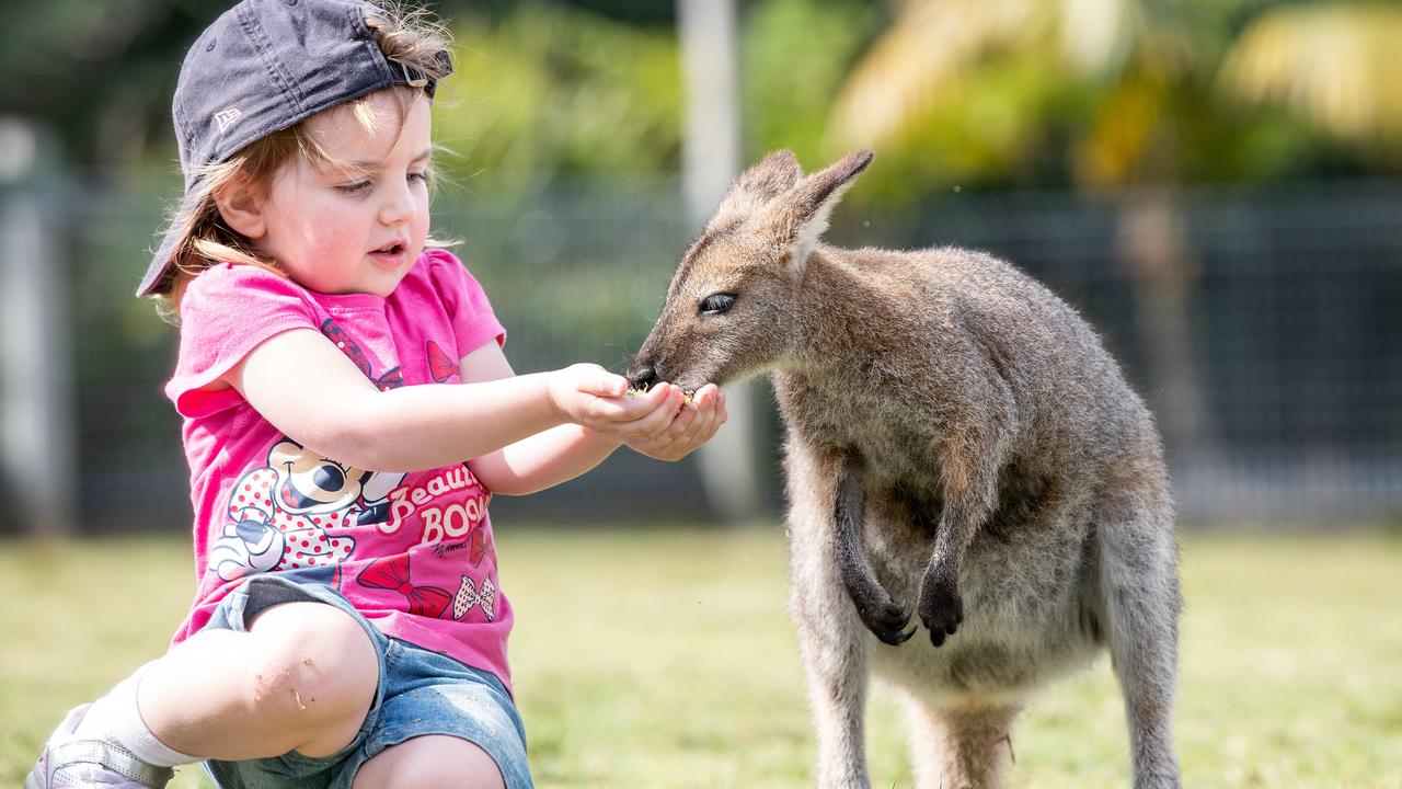 The family of Ruby Johansen, 5, used NSW Discover vouchers at the Symbio Wildlife Park in Helensburgh. Picture: Bianca De Marchi