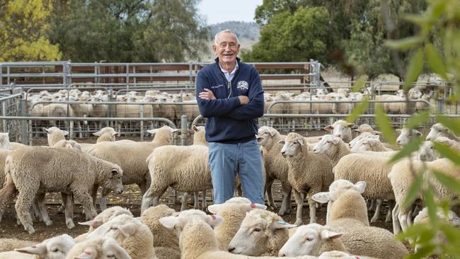 Australian Sheep and Wool Show president Peter Baker with sheep on his farm at Baringhup. Picture: Zoe Phillips