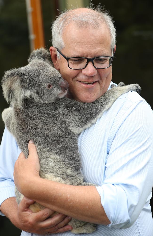 Prime Minister Scott Morrison with 4-year-old Lilly the koala at Australia Zoo over the weekend. Picture: Annette Dew